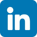 Icona LinkedIn